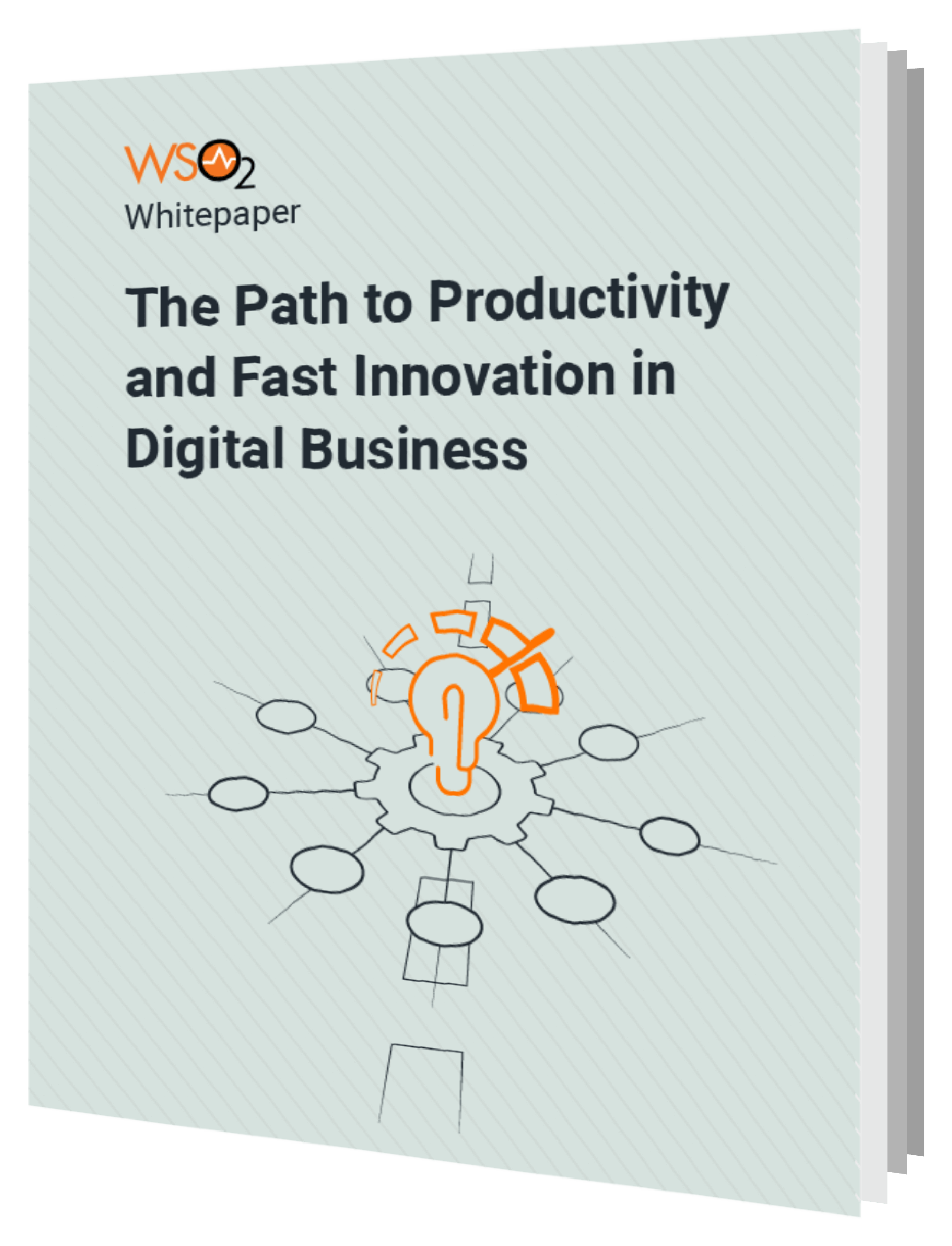 The Path to Productivity and Fast Innovation in Digital Business