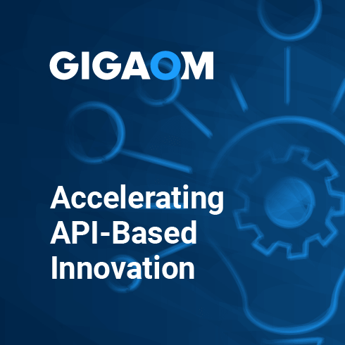 Achieving the Strategic Vision of API Based Innovation