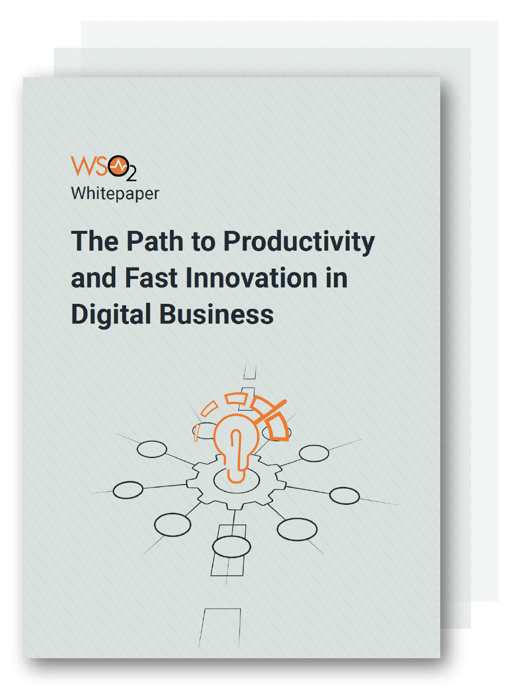 The Path to Productivity and Fast Innovation in Digital Business