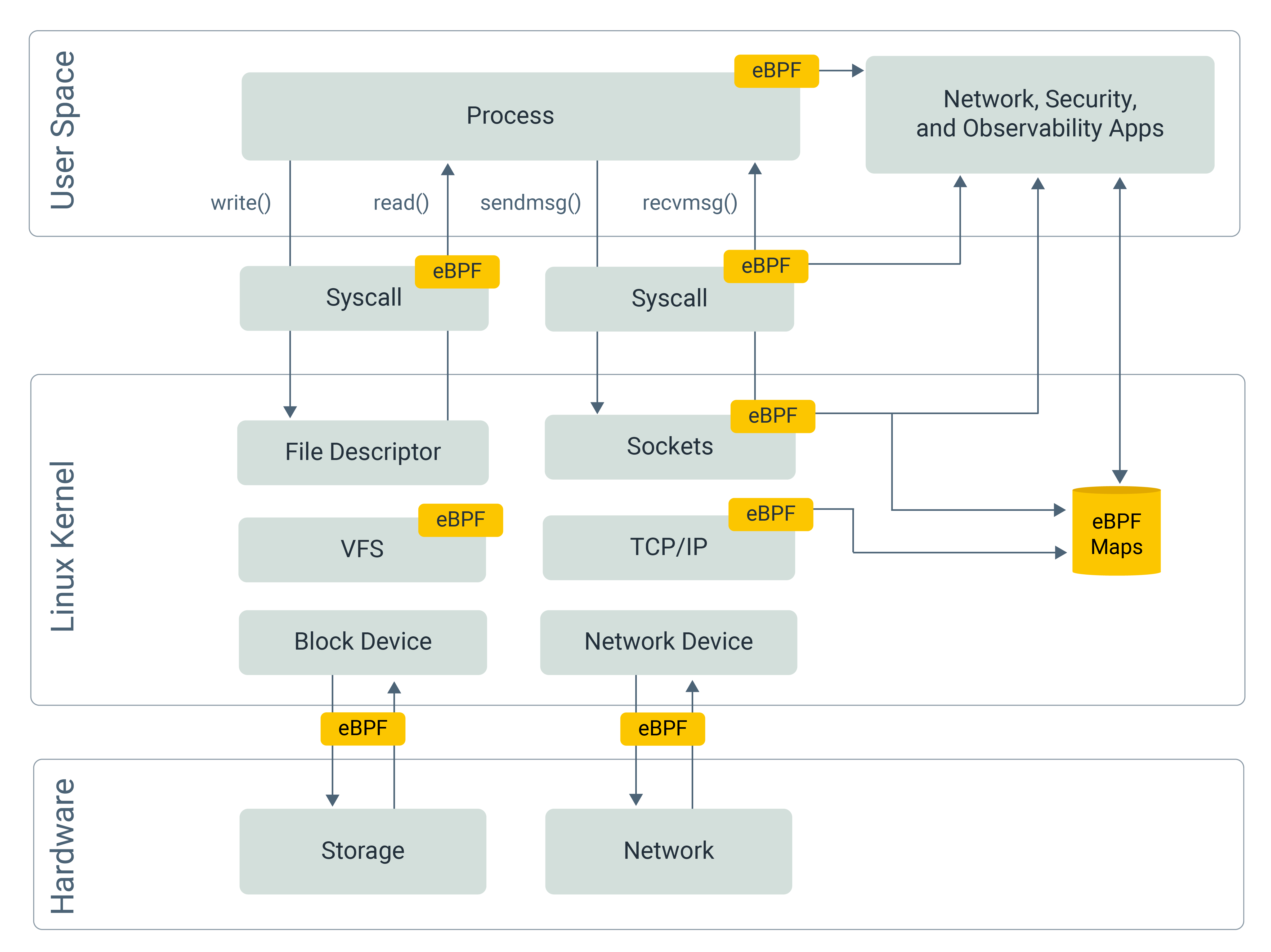 Unlocking the Power of Programmable Data Planes in with eBPF