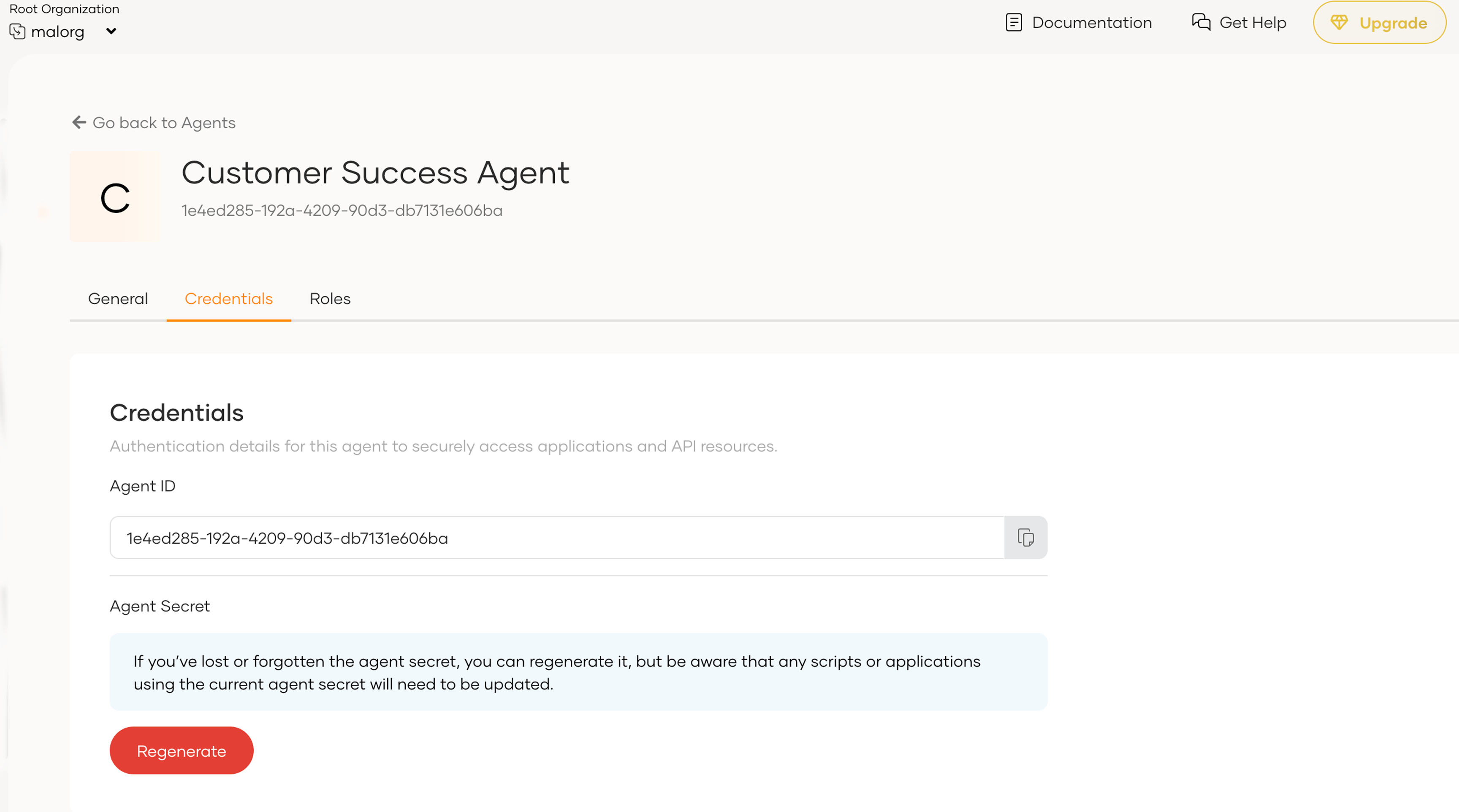 Robust agent identity and access management