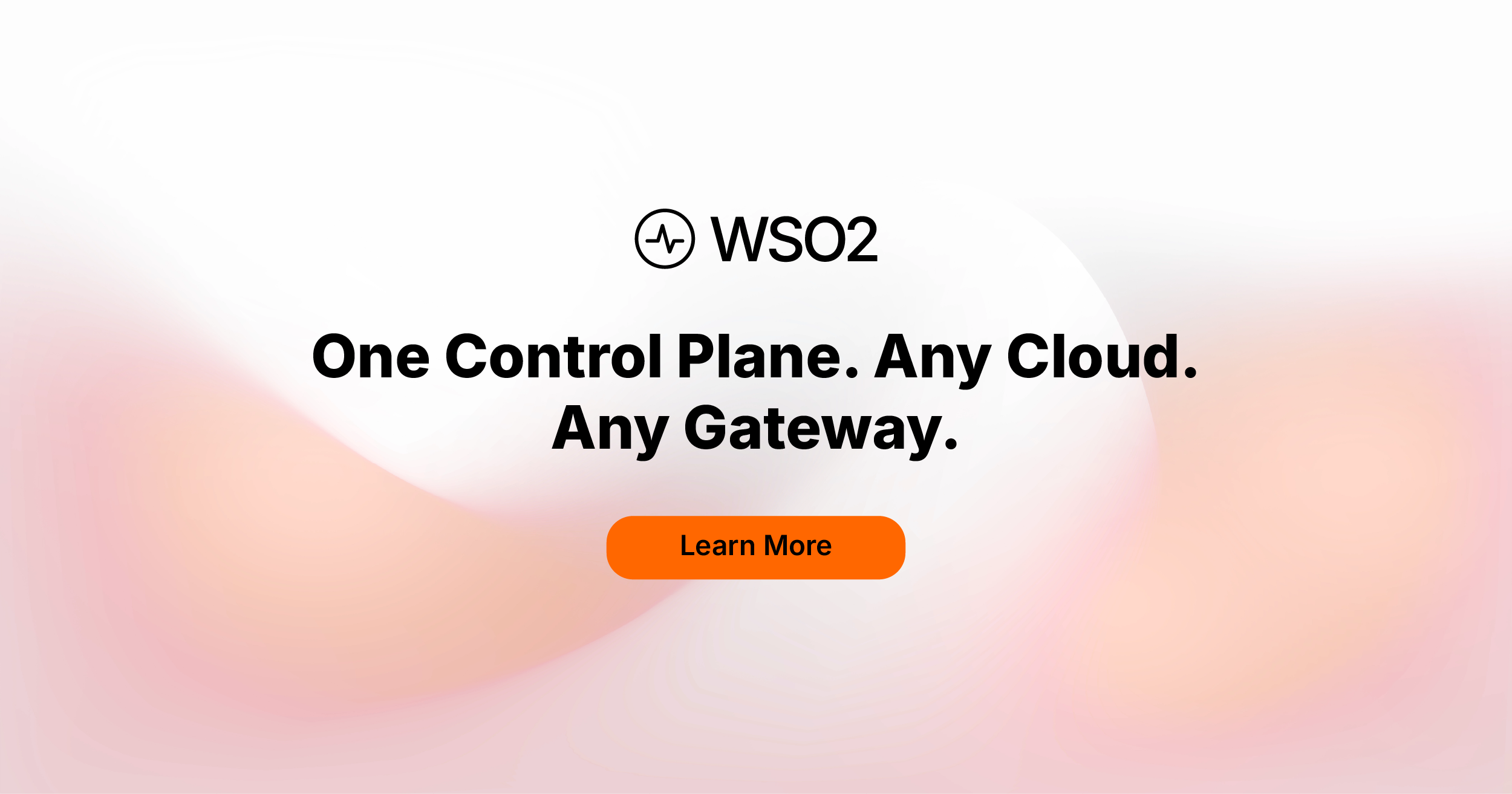 One Platform One Control One Control Plane. Any Cloud. Any Gateway.