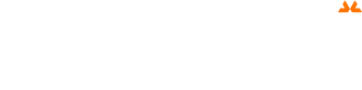 asgardeo logo white