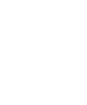 flutter icon