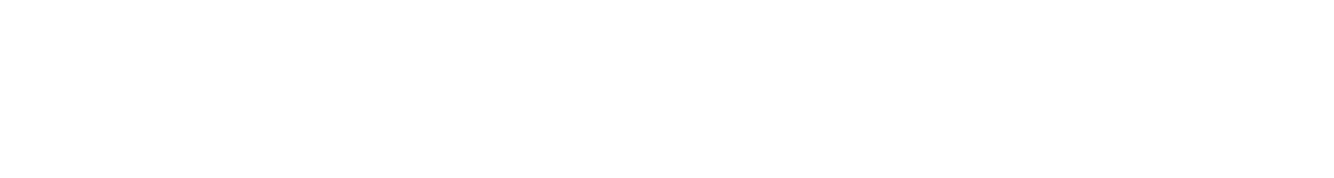 API Platform Logo
