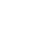 Next.js icon