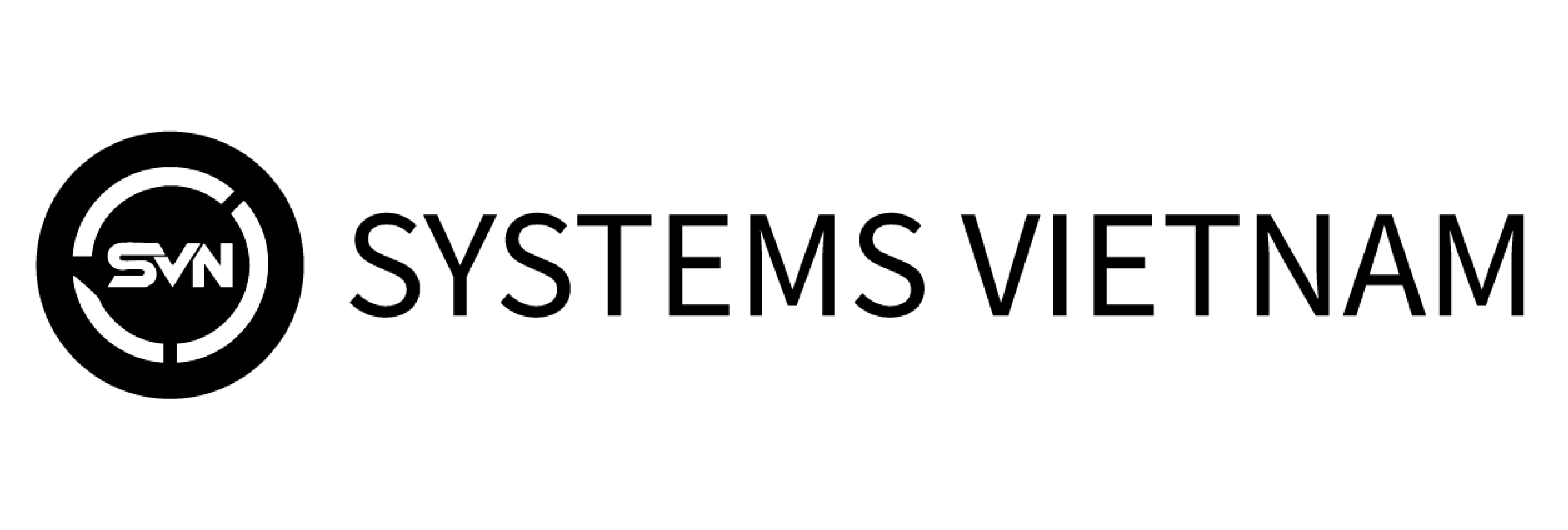 systems vietnam logo