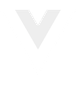 vue icon