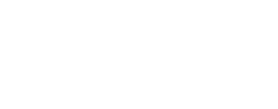 WSO2 logo
