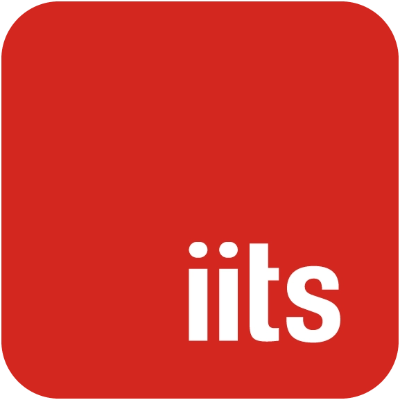 iits-consulting