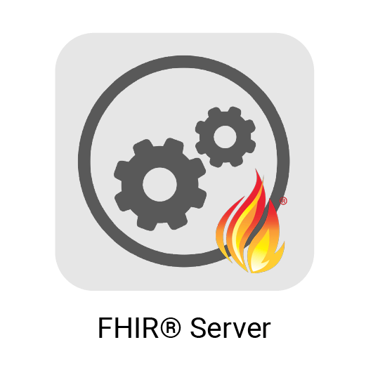 FHIR® Server