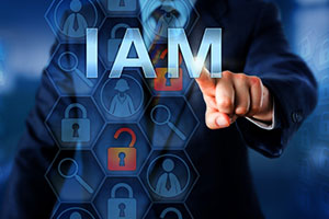 Identity and Access Management in the Era of Digital Transformation